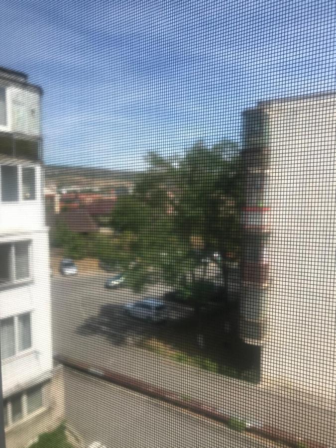 Family Studio Cluj-Napoca Exteriör bild